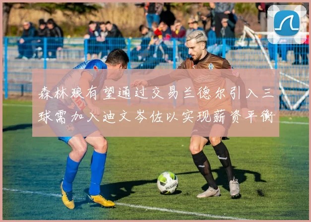 森林狼有望通过交易兰德尔引入三球需加入迪文岑佐以实现薪资平衡